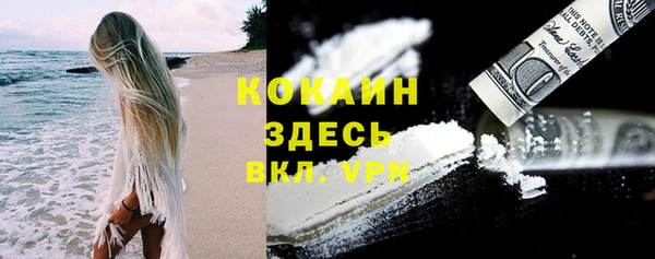 дмт Осинники
